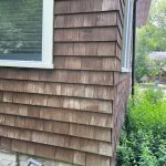 Shingle-1