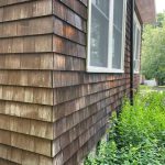 Shingle-3